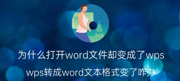 为什么打开word文件却变成了wps wps转成word文本格式变了咋办？